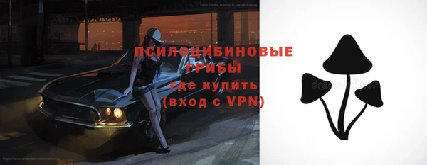 молекула духа Балахна
