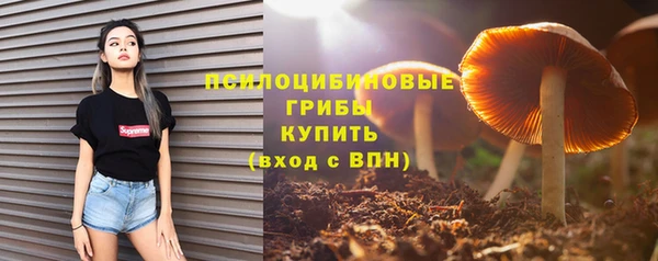 молекула духа Балахна